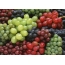 Multicolored grapes