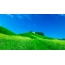 Blue sky, green grass