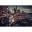 Viking fotografija