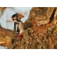 Woodpecker sa isang puno