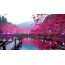 Göl, Sakura