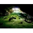 Green cave