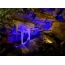 Multi-colored cave