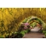 Yellow flowers tunnel