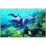 Picture animation with dolphins