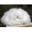 Very fluffy rabbit