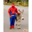 Spiderman with a donkey