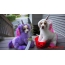 Funny costumes for dogs