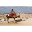 Čovek na kamilu