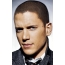 Young Wentworth Miller