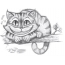 Cat Cat Cheshire