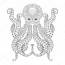 Painted octopus on white background