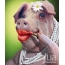 Pig paints lips