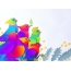 Colorful шувууд