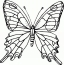 Kuwala kwa butterfly