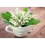 A bouquet of lily of the valley on the table