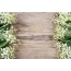 Lilies of the valley on a wood background