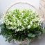 Lilies of the valley in a basket