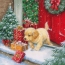 Puppy with gifts