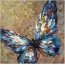 Butterfly paints