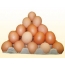 Montagna di uova