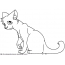 Learn to draw a cat