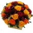Yellow, orange and red roses