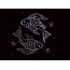 Zodiac constellation Pisces