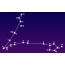 Zodiac constellation Pisces