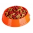 Dry food in a bowl