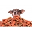 Dog, meat and dry food