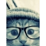 Mačka s okuliarmi