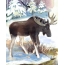 Elk v zimskem gozdu