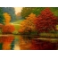 Autumn, trees, lake