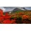 Volcano, trees, autumn
