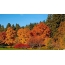 Very beautiful picture of autumn on your desktop