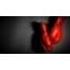 Red boxing gloves on black background