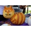 Cat Pumpkin