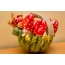 Basket with fly agarics