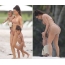 Kardashian with children on the beach