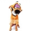 Funny dog ​​on the avatar
