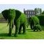 Elefanti verde
