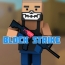 Computer game Block Strike