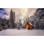 Kuća u zimskoj šumi