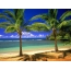 Sea, beach, palm trees