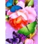 Flowers, butterflies on the phone
