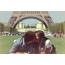 Paris, loving couple on the grass