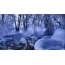 River, forest, winter