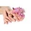 Hands, orchids