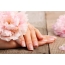 Hands, pink flowers